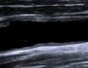 20250724-lwth6